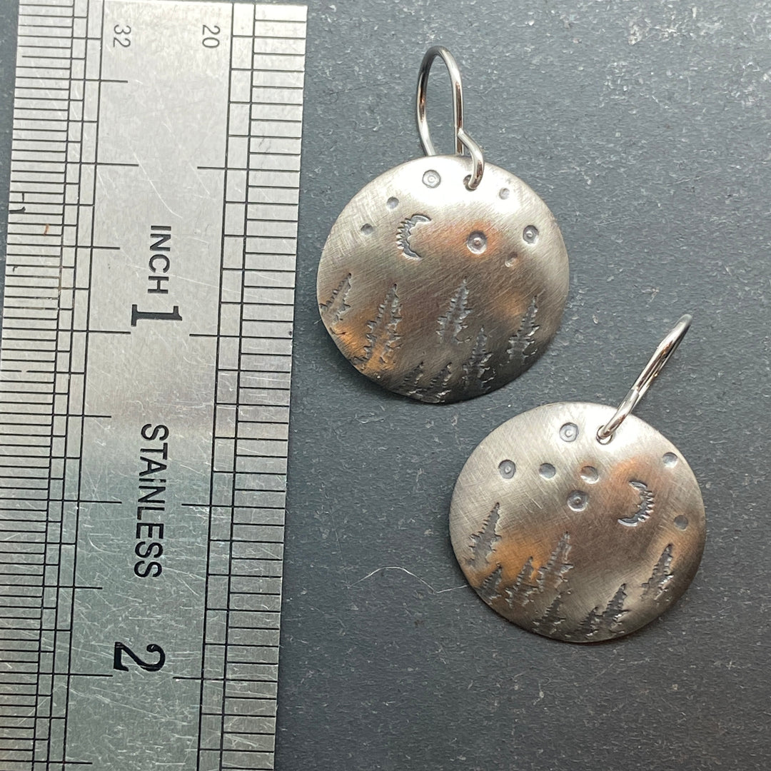 Idaho at Night Earrings