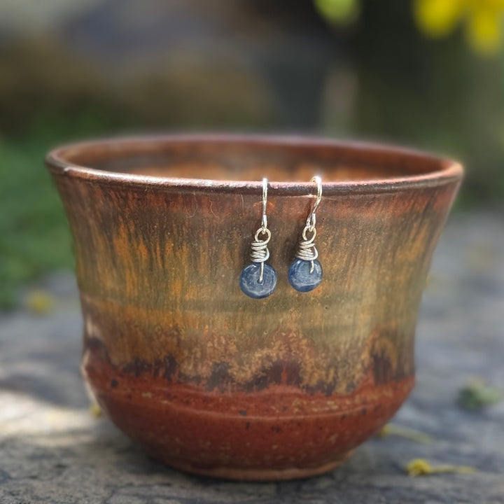 Wrapped Disc Earrings